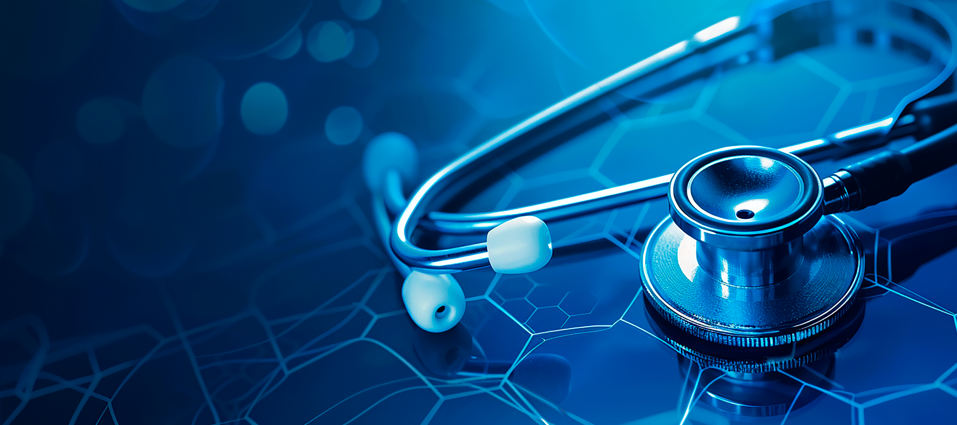 Hukuk ve İnsan Hakları Komisyonu